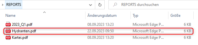 GS-ReportTool_neu0003